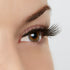 Isn't She Lovely? Lash Style